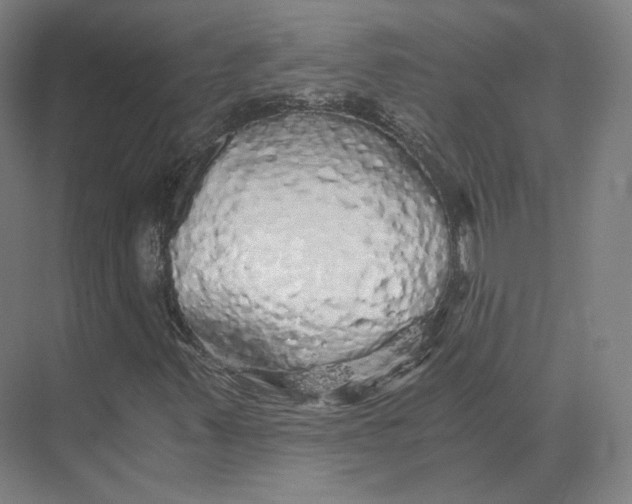 X0000073981347200609111757