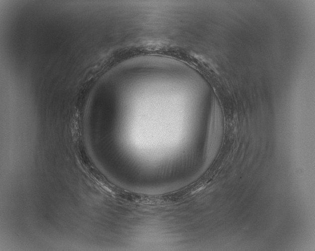 X0000073981349200609111757