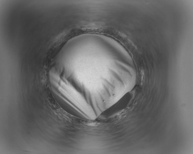 X0000073981350200609111757