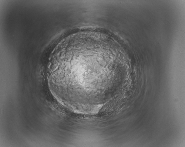 X0000073981351200609111757