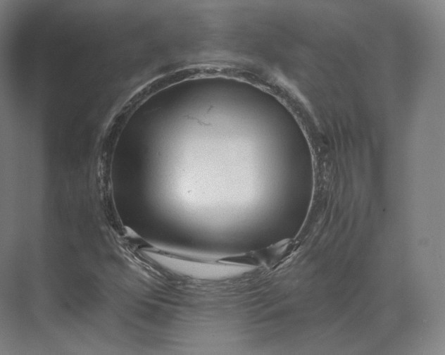 X0000073981352200609111757