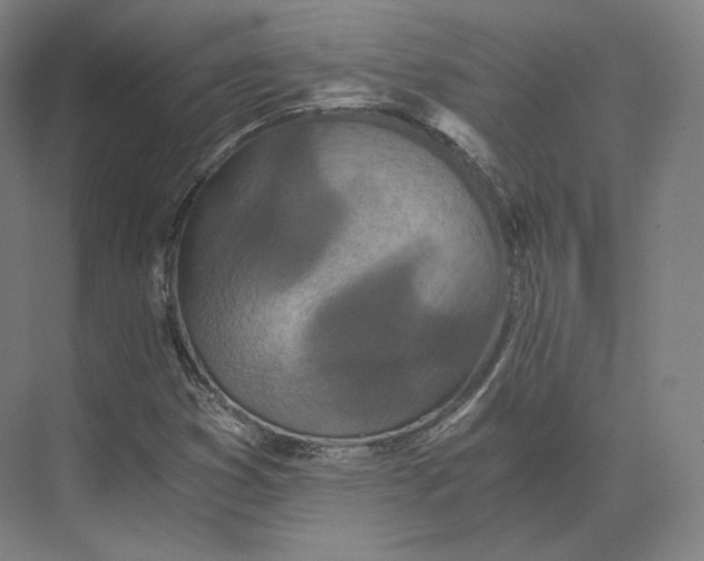 X0000073981353200609111757