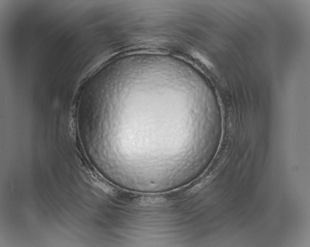 X0000073981354200609111757