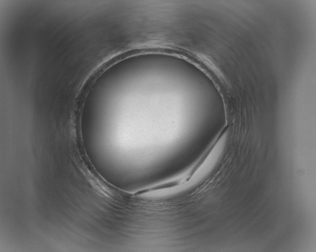 X0000073981356200609111757