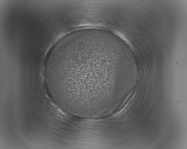 X0000073981357200609111757