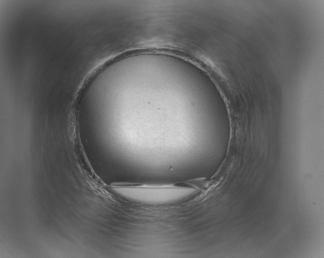 X0000073981358200609111757