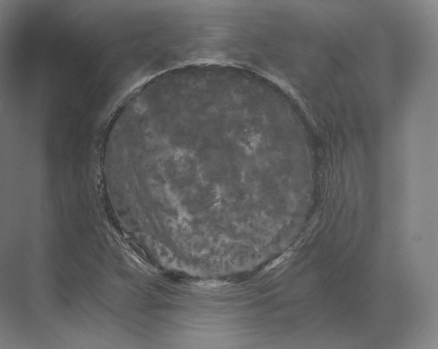 X0000073981359200609111757