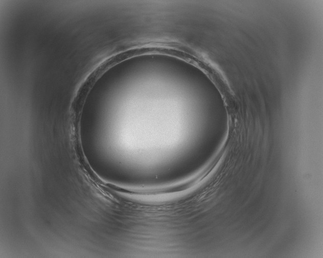 X0000073981360200609111757