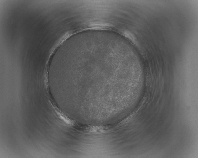 X0000073981362200609111757