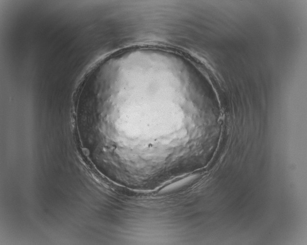 X0000073981363200609111757