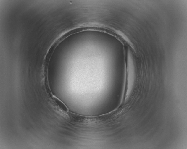 X0000073981364200609111757