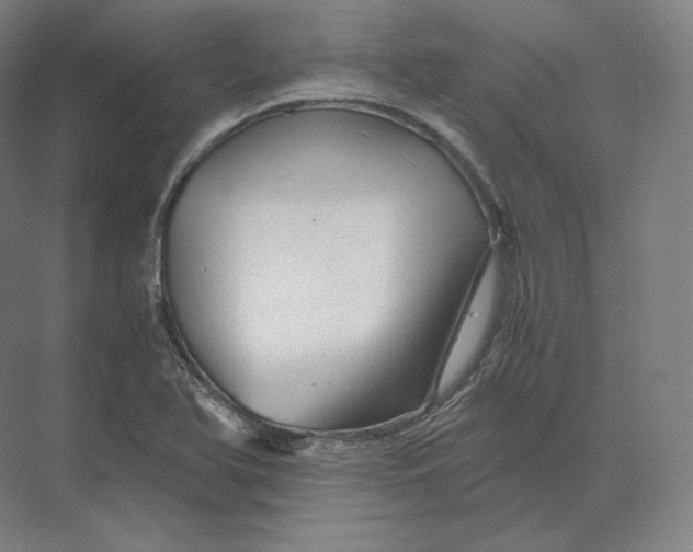 X0000073981366200609111757