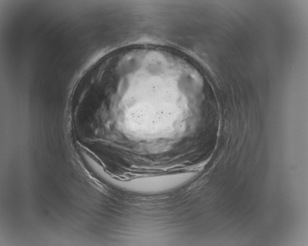 X0000073981367200609111757