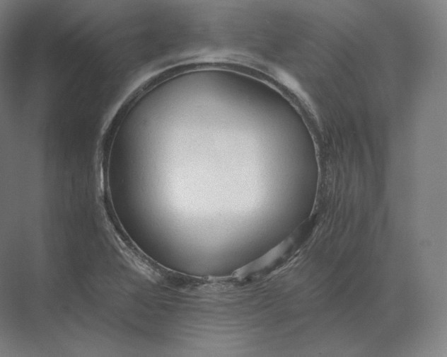 X0000073981368200609111757