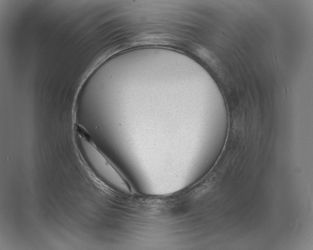 X0000073981370200609111757