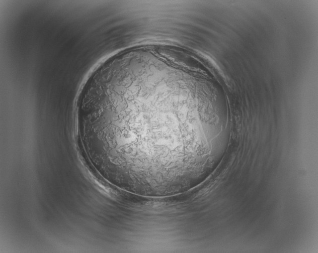 X0000073981371200609111757