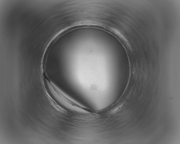 X0000073981372200609111757