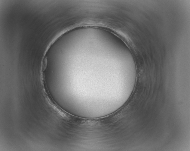 X0000073981374200609111757