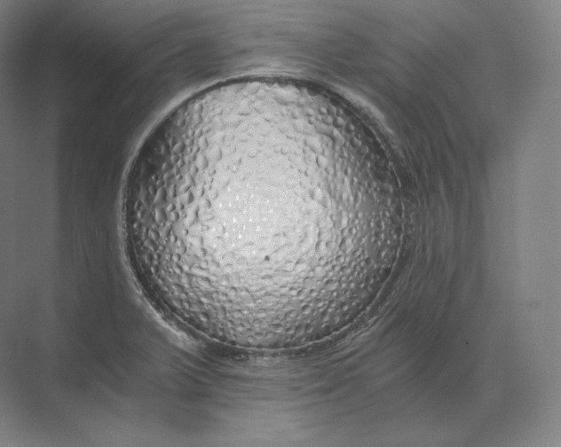 X0000073981375200609111757