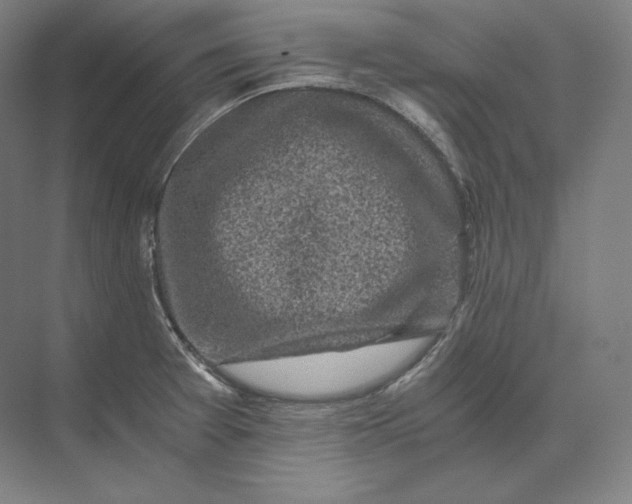 X0000073981377200609111757