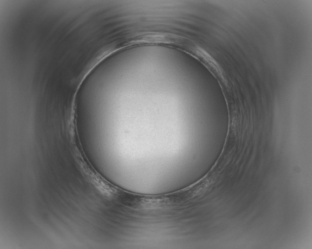 X0000073981378200609111757