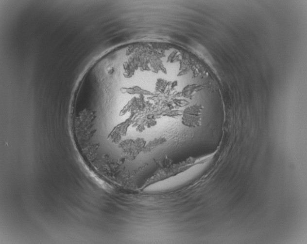 X0000073981379200609111756