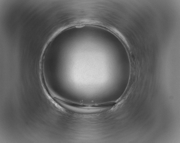 X0000073981381200609111756