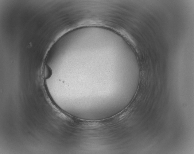 X0000073981382200609111756