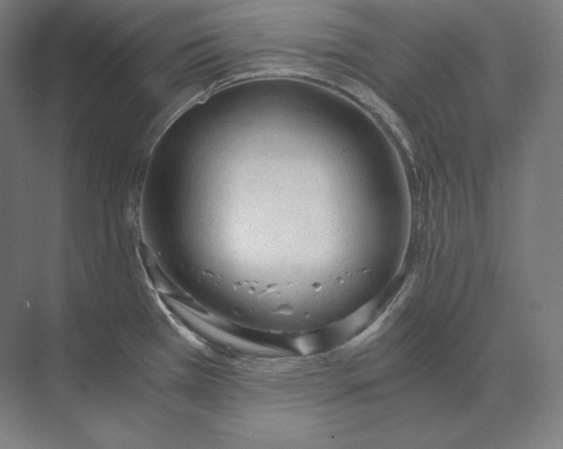 X0000073981385200609111756