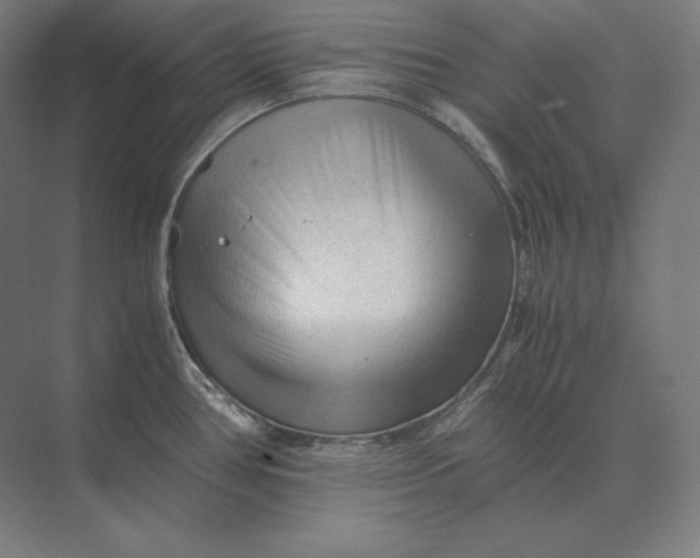 X0000073981386200609111756