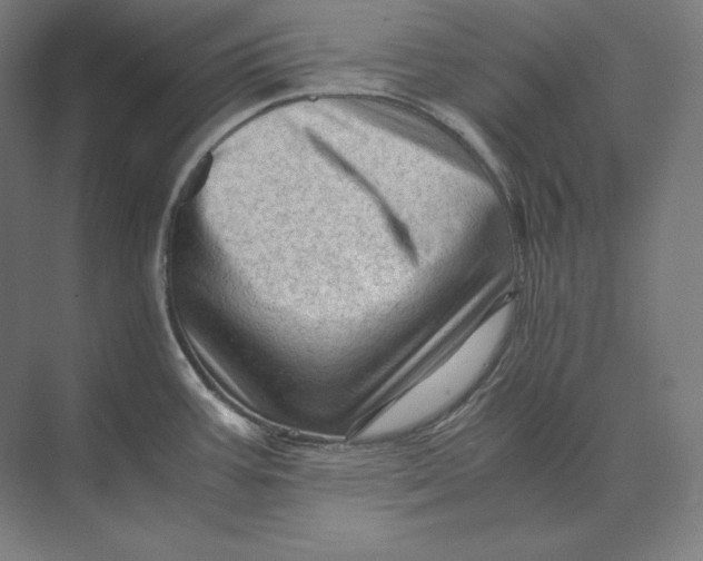 X0000073981387200609111756