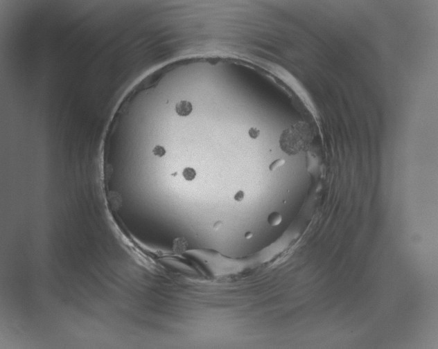 X0000073981388200609111756