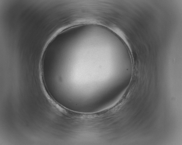 X0000073981389200609111756