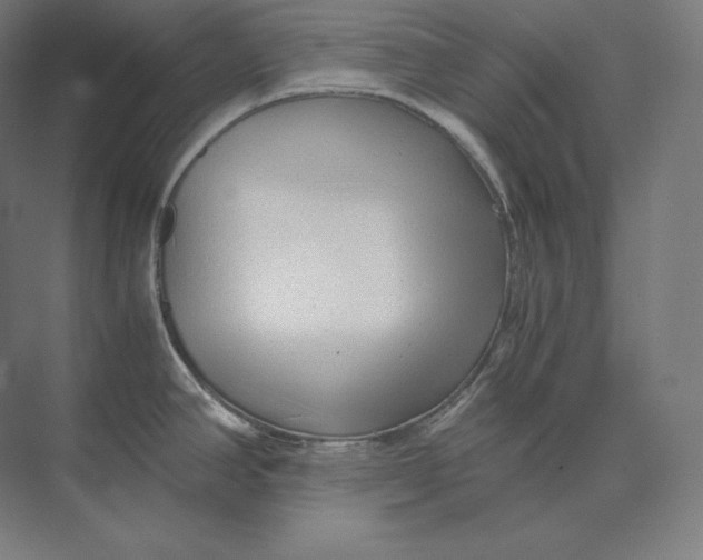 X0000073981390200609111756