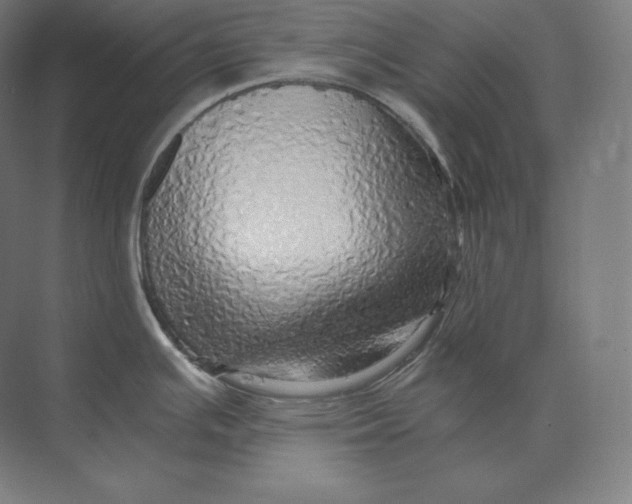 X0000073981391200609111756