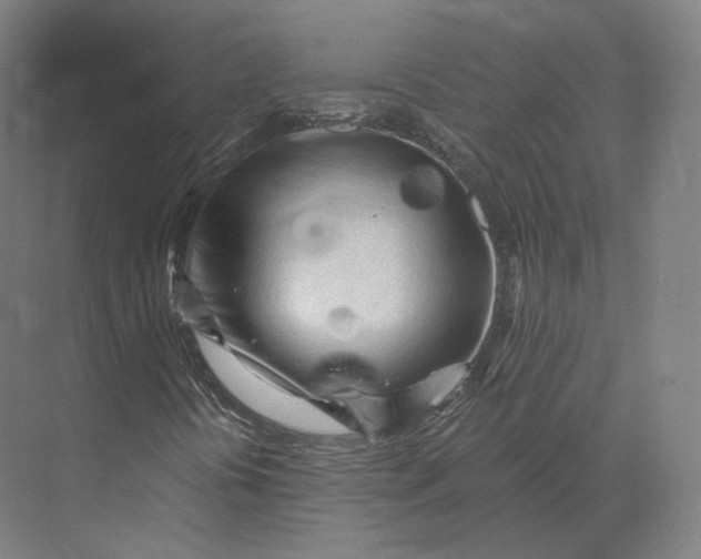 X0000073981394200609111755