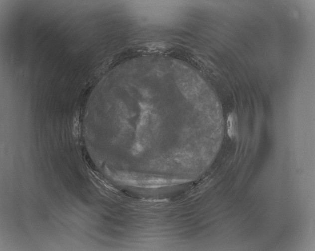 X0000073981395200609111756