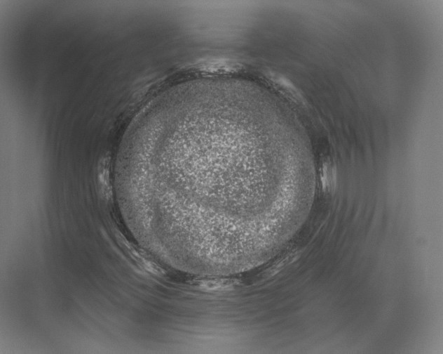 X0000073981396200609111756