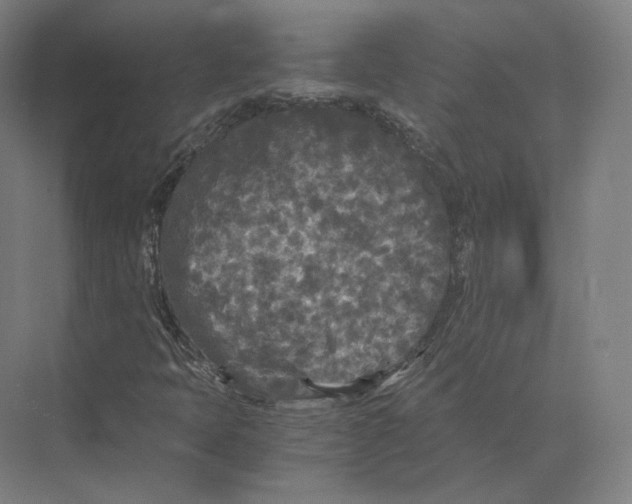 X0000073981397200609111756