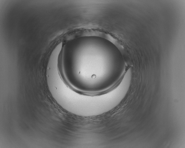 X0000073981398200609111756