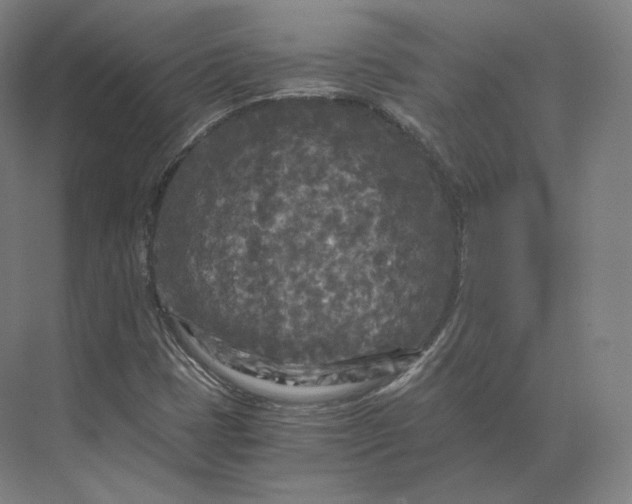 X0000073981401200609111756