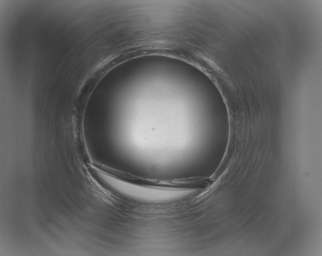 X0000073981402200609111756