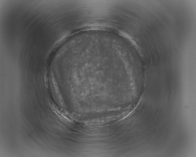 X0000073981403200609111756