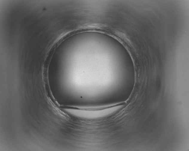 X0000073981404200609111756