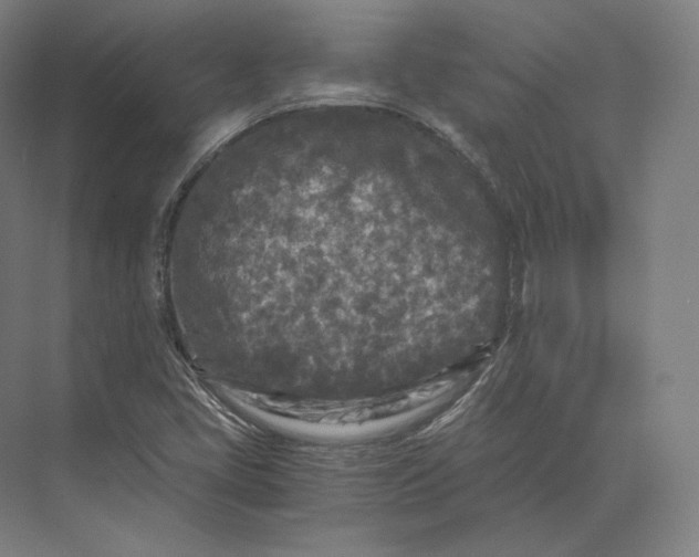 X0000073981405200609111756