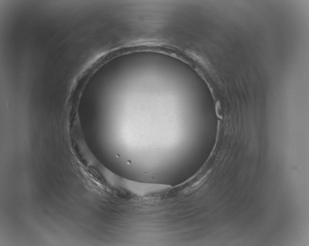 X0000073981406200609111756