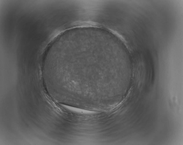 X0000073981407200609111756