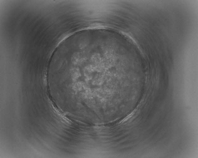 X0000073981409200609111756