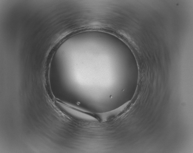 X0000073981410200609111756