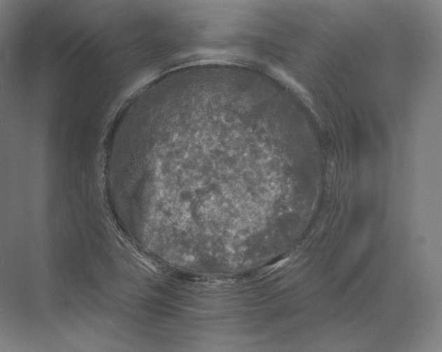 X0000073981411200609111756